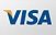 We accept a Visa card for Online Payment